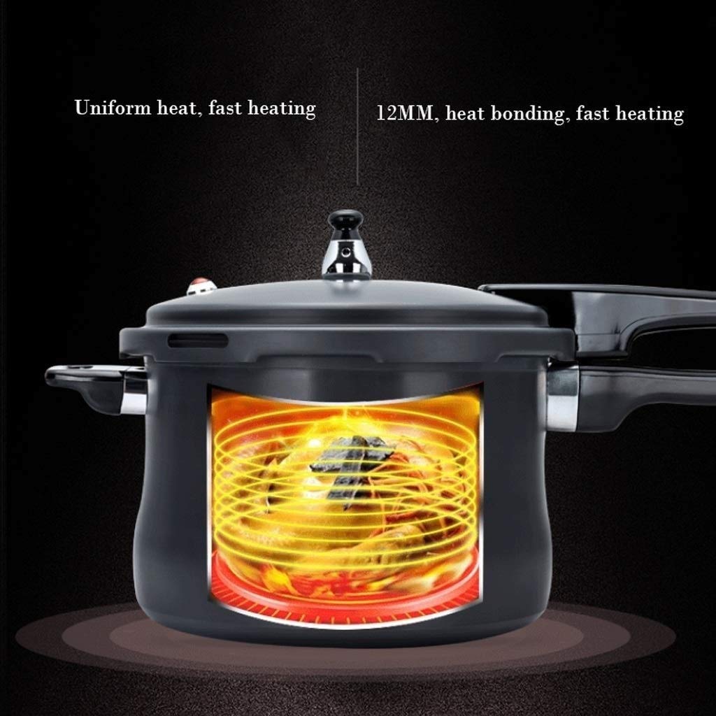 Black 3L Stainless Steel Pressure Cooker M2133