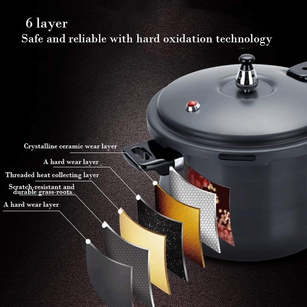 Black 3L Stainless Steel Pressure Cooker M2133