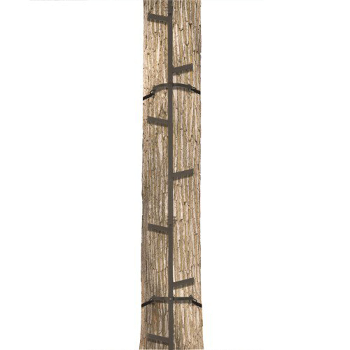 20 Feet Tall Steel Tree Climbing System (2 Pack) R5331