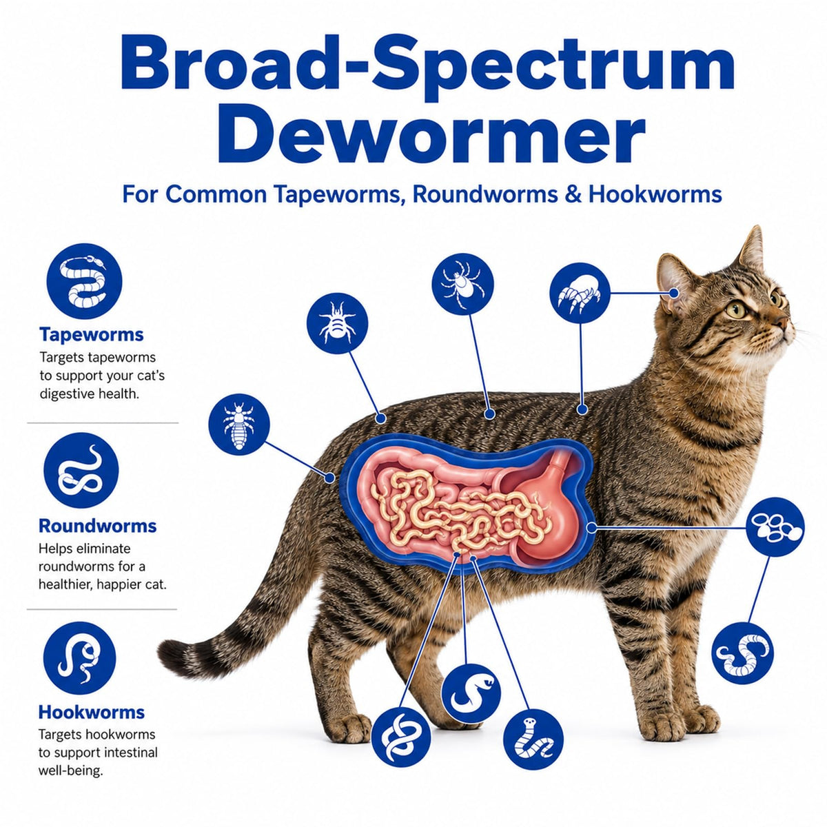 Cat and Kitten Dewormer 100 Tablets D2228
