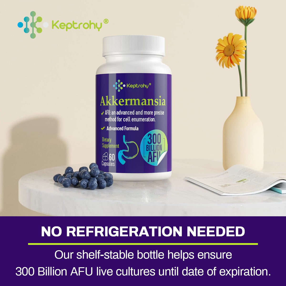 Akkermansia Muciniphila Probiotic 60 Count D809