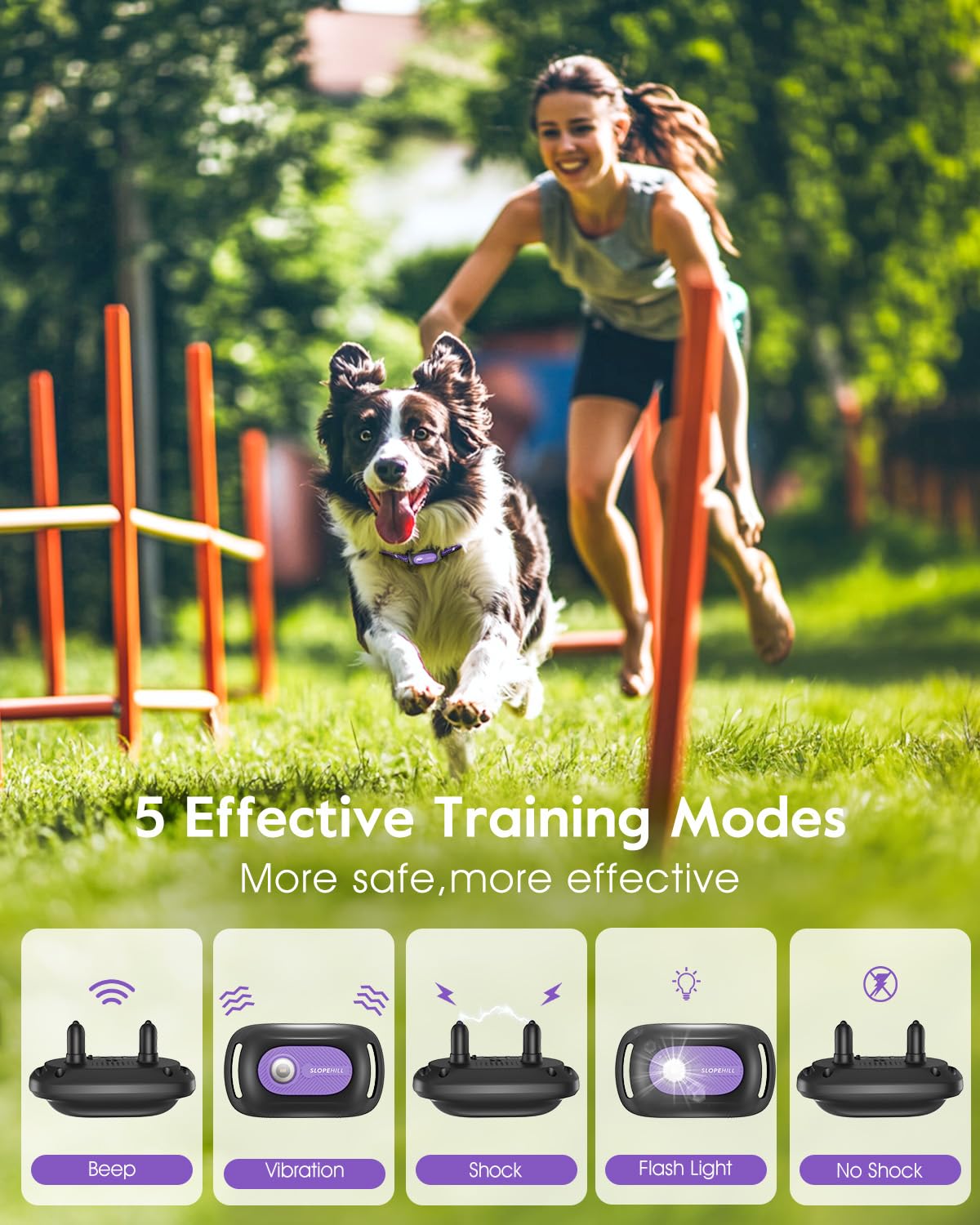 Dog Shock Collar 2 Dogs Z230285