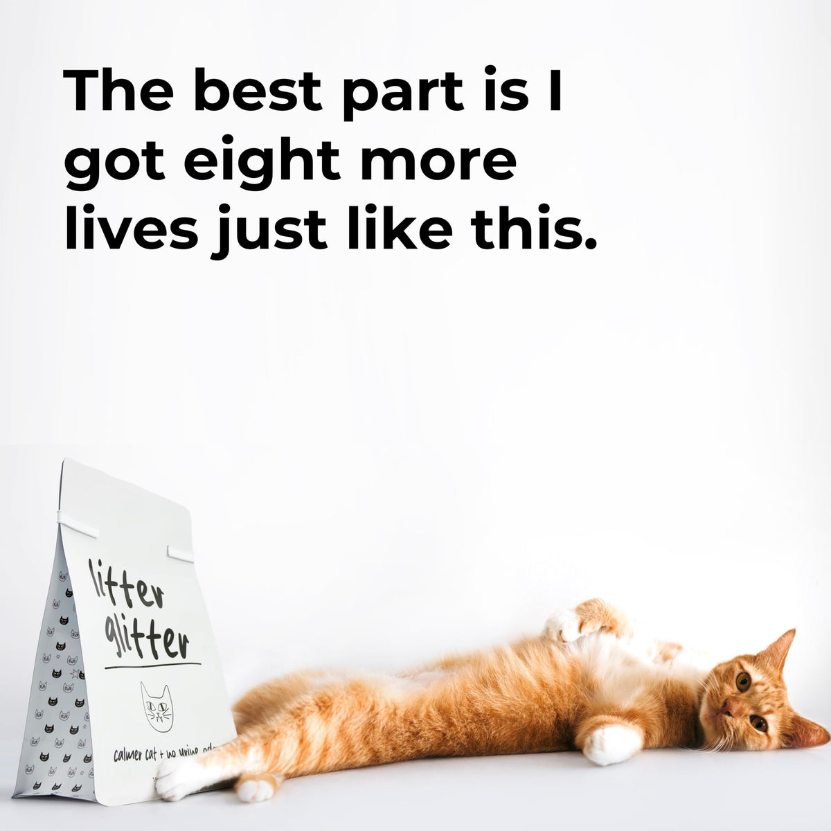 Cat Litter Booster R521