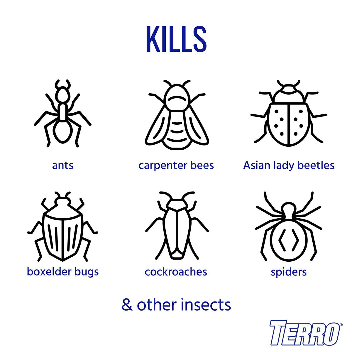 Outdoor Ant Killer Spray S17846