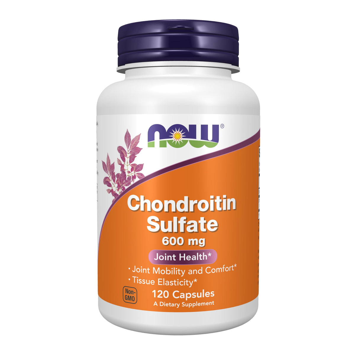 Chondroitin Sulfate 600 mg 120 Caps O51677