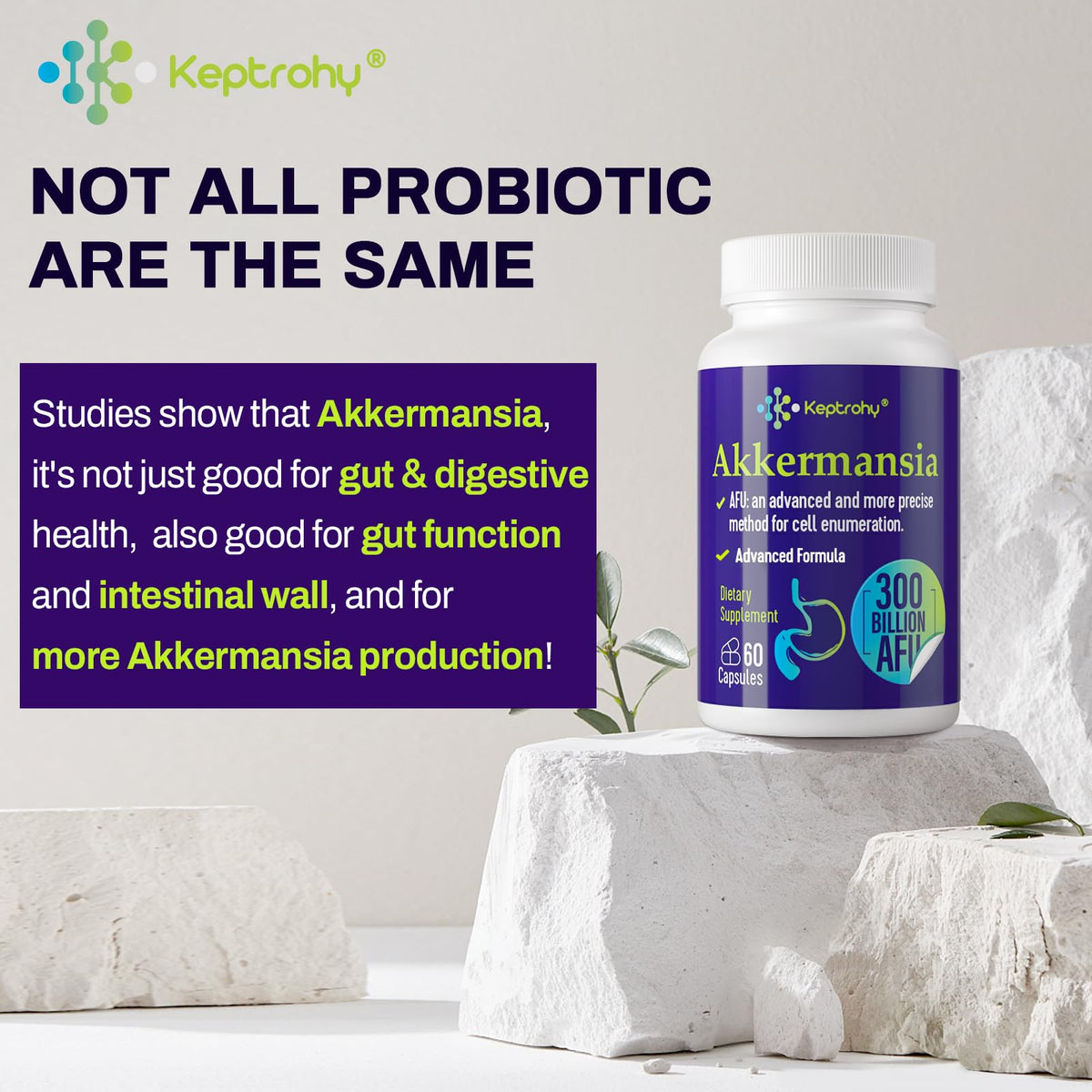 Akkermansia Muciniphila Probiotic 60 Count D809