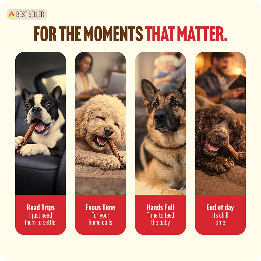 6 Inch 12 Ounces Odor-Free Beef Pizzle Chews R942856