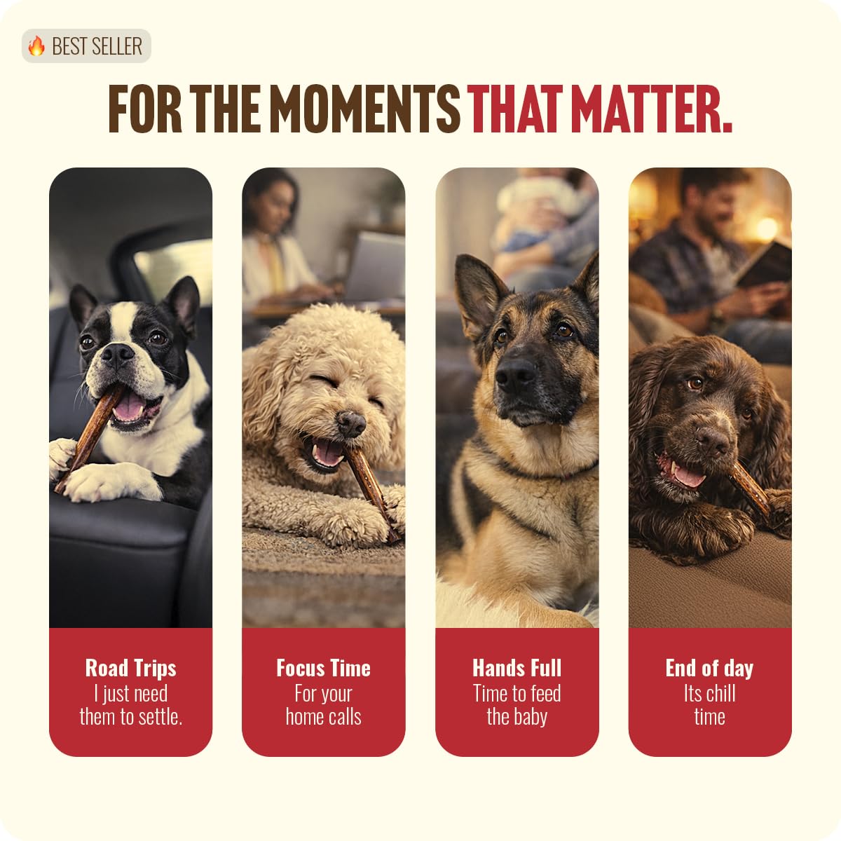 6 Inch 12 Ounces Odor-Free Beef Pizzle Chews R942856