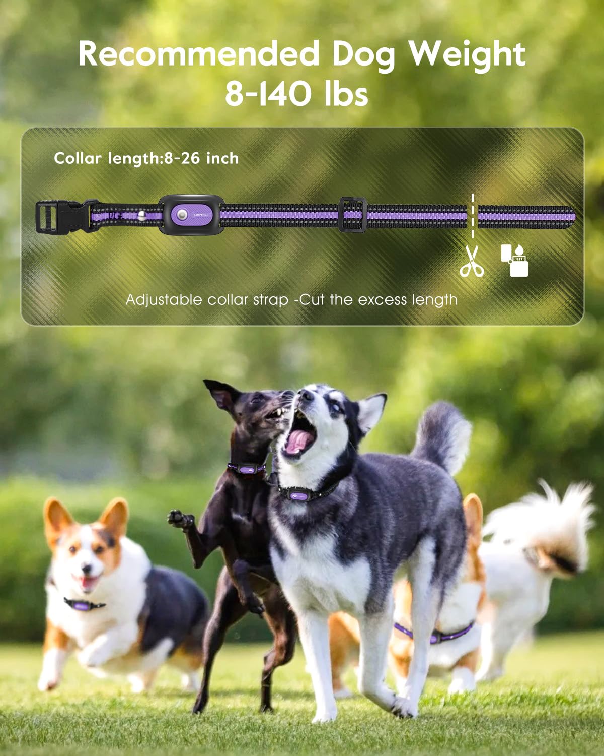 Dog Shock Collar 2 Dogs Z230285