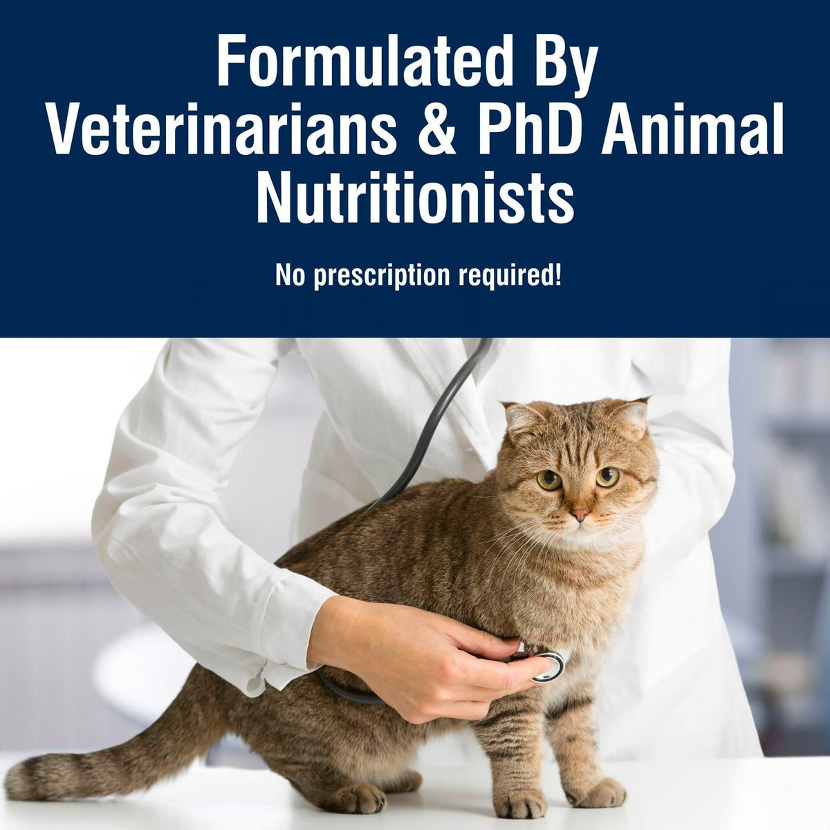 Chicken Dry Cat Food 3.5 lb B510198