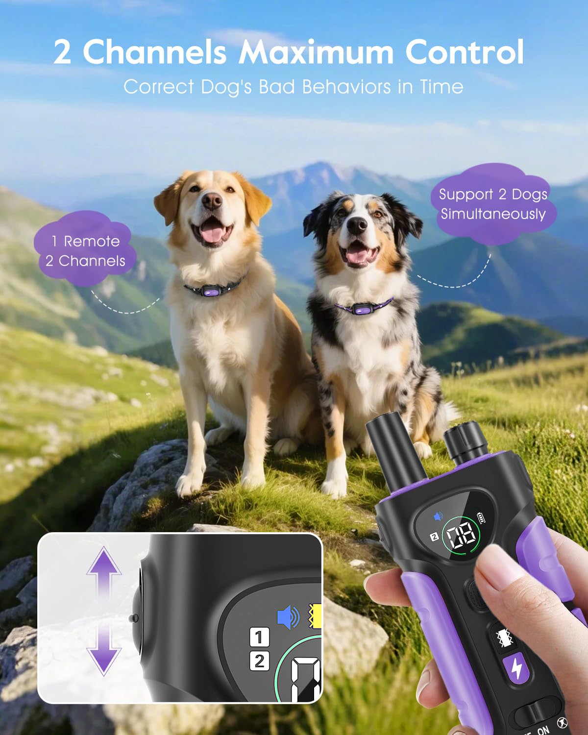 Dog Shock Collar 2 Dogs Z230285