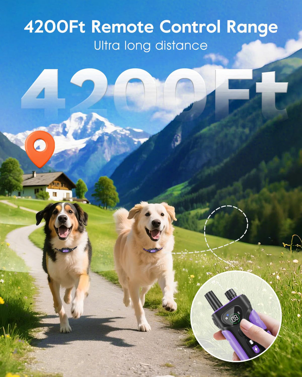 Dog Shock Collar 2 Dogs Z230285