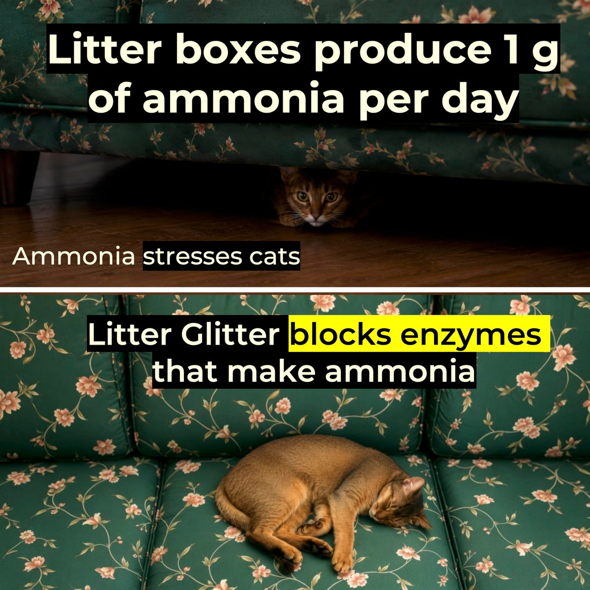 Cat Litter Booster R521