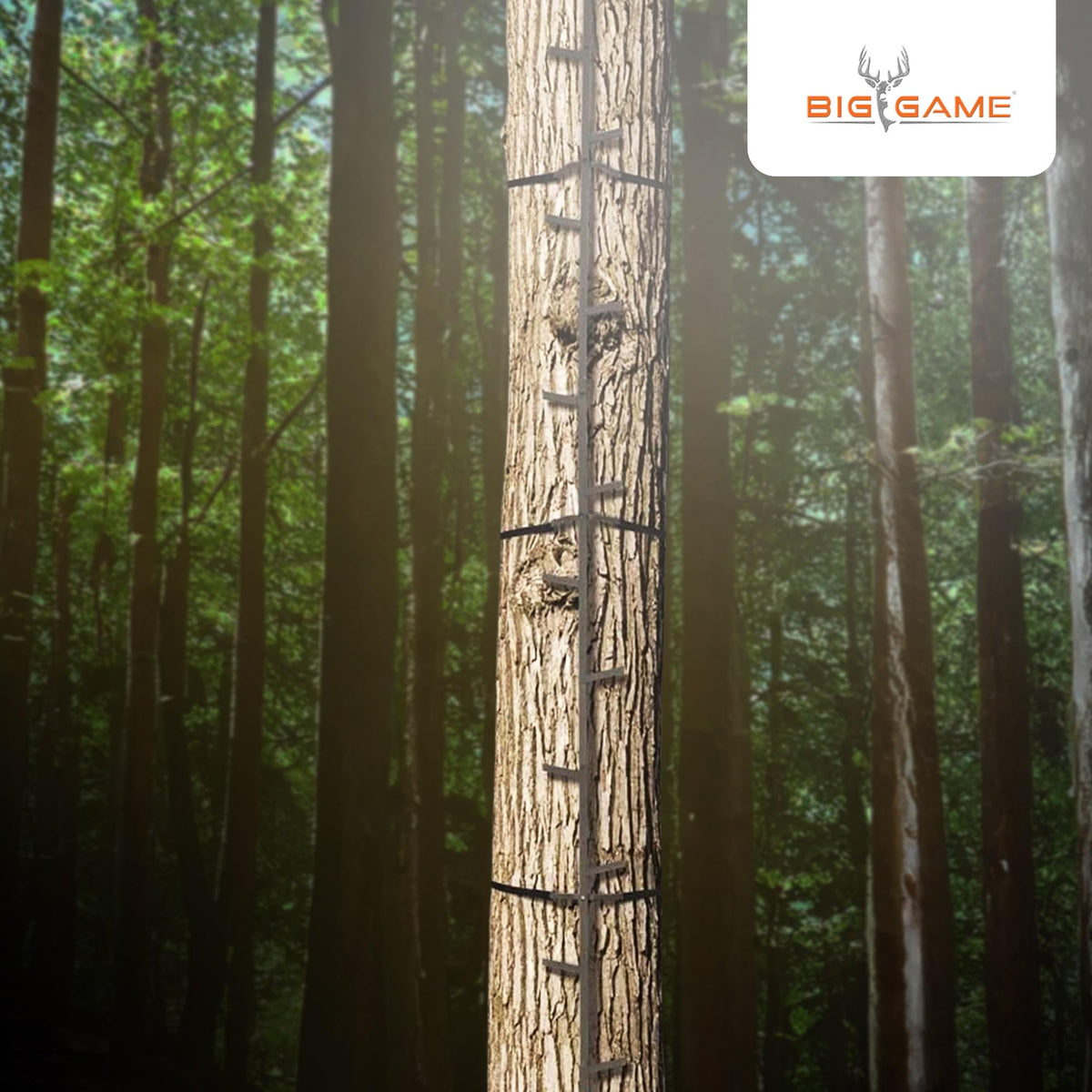 20 Feet Tall Steel Tree Climbing System (2 Pack) R5331