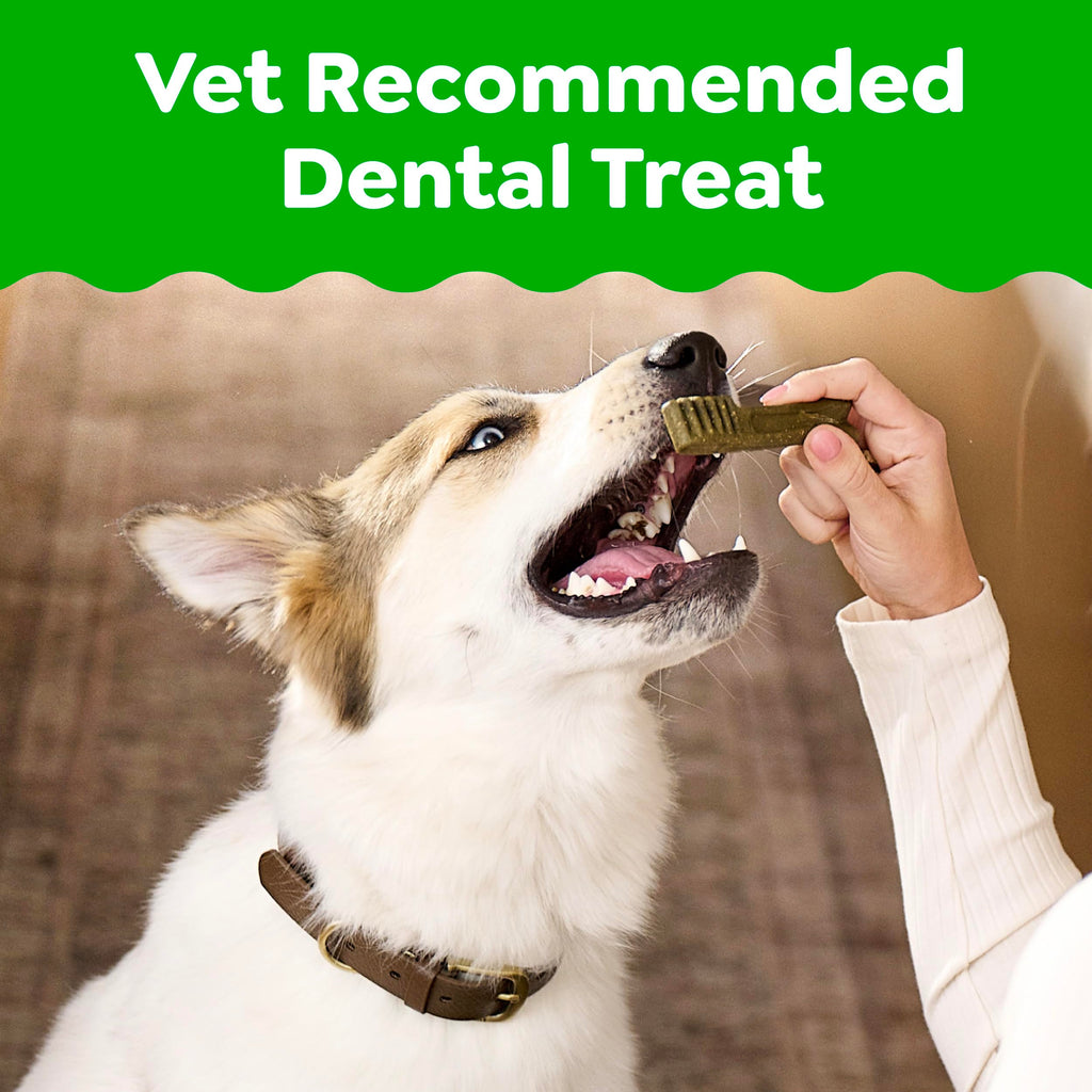 Mint Original Blueberry Dental Dog Treats 60 Count D192