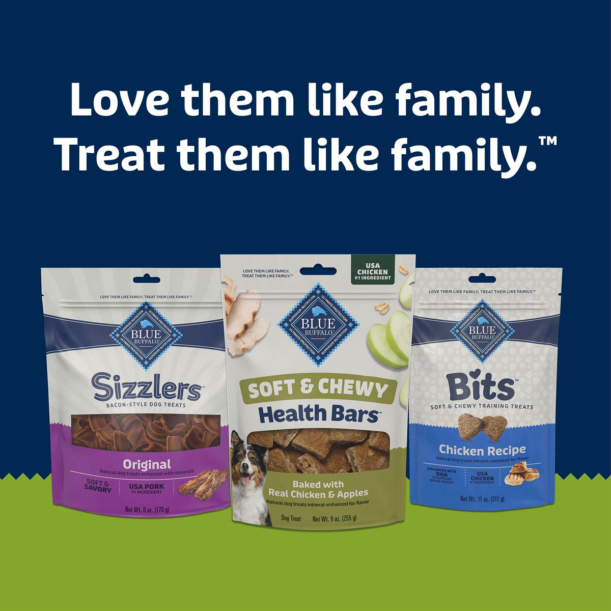 Chicken & Apples Soft & Chewy Treats, 9 oz O290