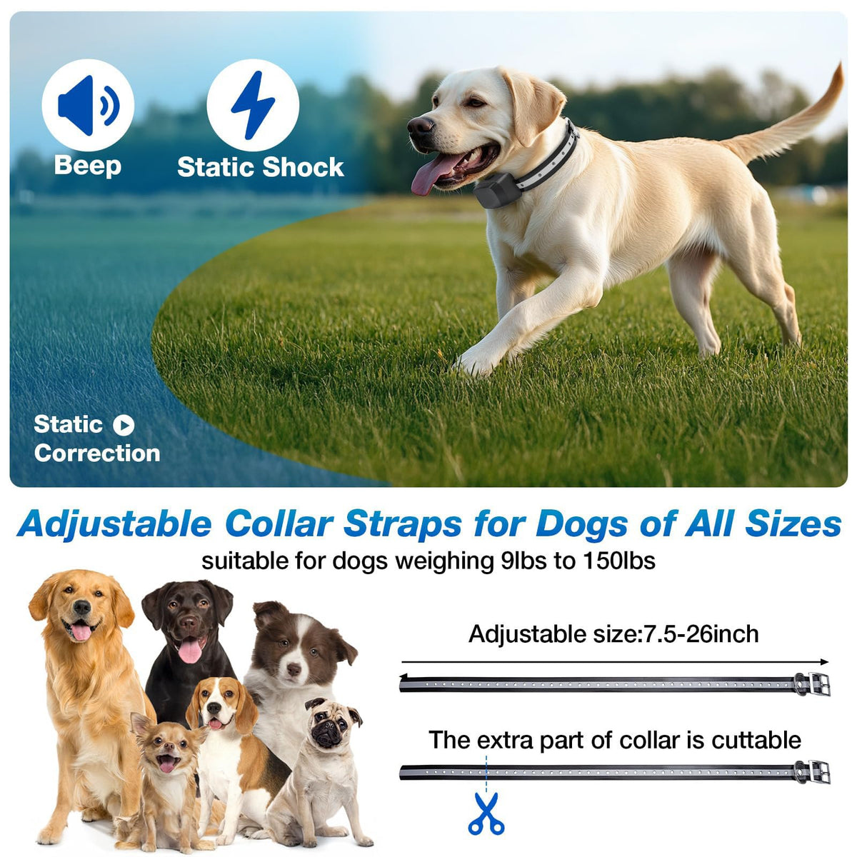 Electric Dog Fence Containment System with Waterproof Training Collar R992300
