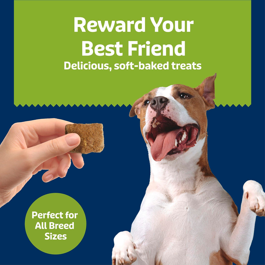 Chicken & Apples Soft & Chewy Treats, 9 oz O290