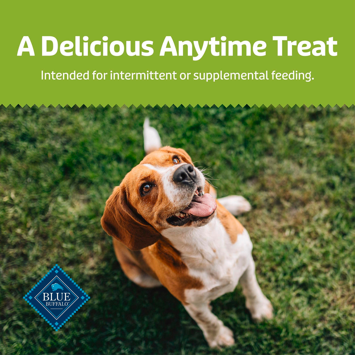 Chicken & Apples Soft & Chewy Treats, 9 oz O290