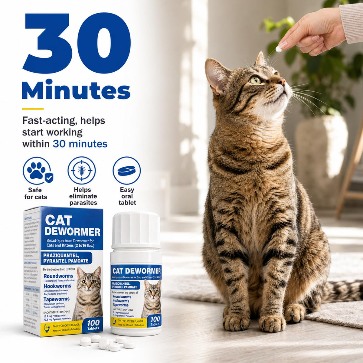 Cat and Kitten Dewormer 100 Tablets D2228