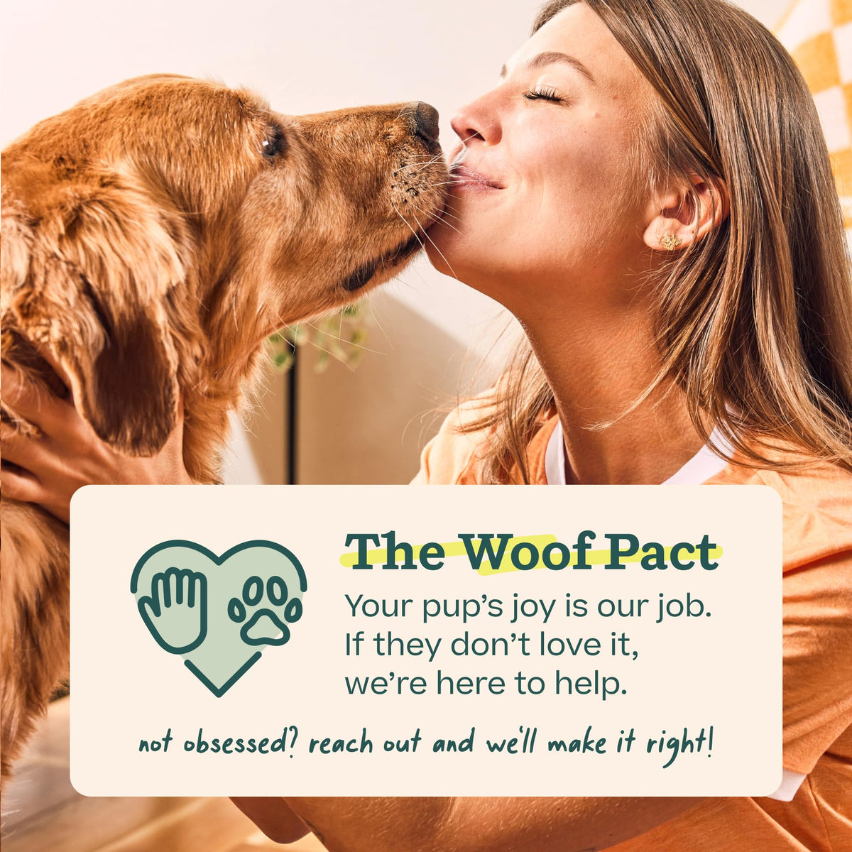 Peanut Butter & Beef Dog Treats 7 Count K975