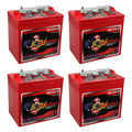 6V Deep Cycle Battery 4 Pack D4574