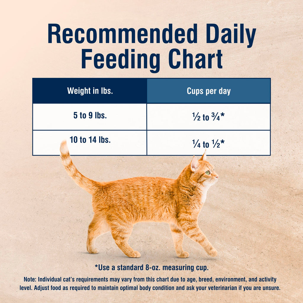 Chicken Dry Cat Food 3.5 lb B510198