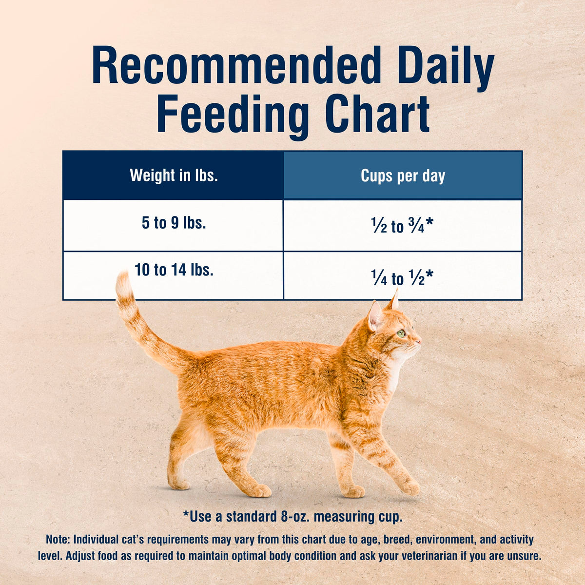 Chicken Dry Cat Food 3.5 lb B510198
